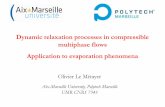Dynamic relaxation processes in compressible multiphase ...