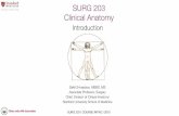 SURG 203 Clinical Anatomy