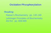 Oxidative Phosphorylation - Centurion University