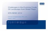 Challenges in the Evolving Crude Oil Landscape from Shale ...