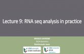 Lecture 9: RNA seq analysis in practice