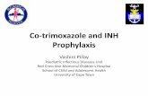 Co-trimoxazole and INH Prophylaxis
