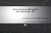 Internet no Brasil e 30 anos do