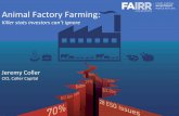 Animal Factory Farming