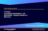 T400 Customization of Mobile Application: Basic