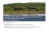Copper River Basin Landscape Assessment and Management ...