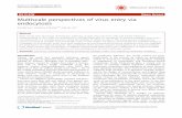 REVIEW Open Access Multiscale perspectives of virus entry ...