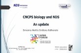 CNCPS biology and NDS An update - AFMA Forum 2020