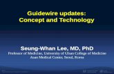 Guidewire updates: Concept and Technology