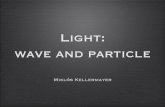 Light: wave and particle
