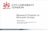 Research Projects on Micropile GroupsMicropile Groups