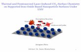 Thermal and Femtosecond Laser-Induced CO2-Surface ...