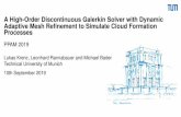 A High-Order Discontinuous Galerkin Solver with Dynamic ...