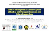 State of Development in Carbon Capture, Utilization and ...