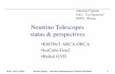 Neutrino Telescopes status & perspectives