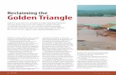 Reclaiming the Golden Triangle - ECOS