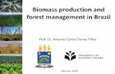 Biomass production and forest management in Brazil