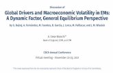 Global Drivers and Macroeconomic Volatility in EMs: A ...