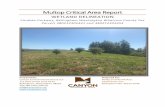 Multop Critical Area Report