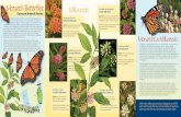 Monarch Butterflies Eastern US Brochure