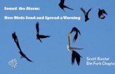 Sound the Alarm: How Birds Send and Spread a Warning