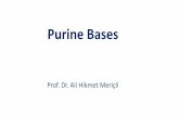 Purine Bases - Yakın Doğu Üniversitesi I neu.edu.tr