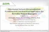 Chlorinated Solvent Bioremediation: Fundamentals and ...