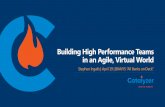 Building High Performance Teams in an Agile, Virtual World