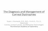 The Diagnosis and Management of Corneal Dystrophies