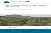 Seed germination methods for native Caribbean trees ... - WUR