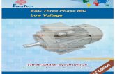 ESC Three Phase IEC Low Voltage - maybomchinhhang.vn