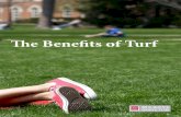 The Benefits of Turf - STMA