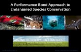 A Derivatives Approach to Endangered Species Conservation