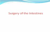 Surgery of the Intestine