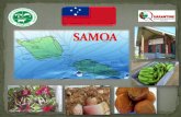 Country Report of Samoa - International Plant Protection ...