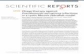 Phage therapy against Pseudomonas aeruginosa infections in ...