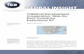 Trilateral Development - Africa Portal
