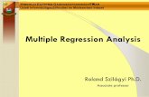 Multiple Regression Analysis - University of Miskolc