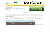 Chapter 3: Winter and Spring Wheat Growth Stages