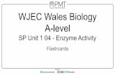 WJEC Wales Biology A-level - PMT