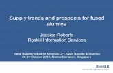 Supply trends and prospects for fused alumina