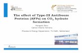 The effect of Type-III Antifreeze Proteins (AFPs) on CO2 ...