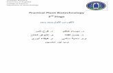 Practical Plant Biotechnology