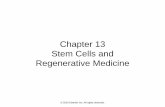 Chapter 13 Stem Cells and Regenerative Medicine