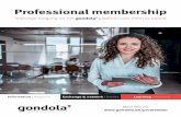 Professional membership - Gondola