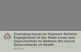 Emerging Issues in Payment Reform: Engagement at the State ...