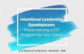 Intentional Leadership Development: Implementing a CIT ...
