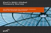 PwC's 2021 Global Treasury Survey