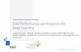 Intel Performance optimizations for Deep Learning