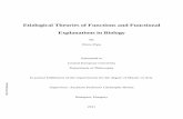 Etiological Theories of Functions and Functional ...
